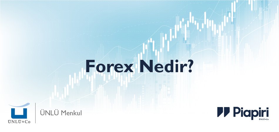 Forex Nedir? Temel Forex Terimleri Forex Nedir? Temel Forex Terimleri